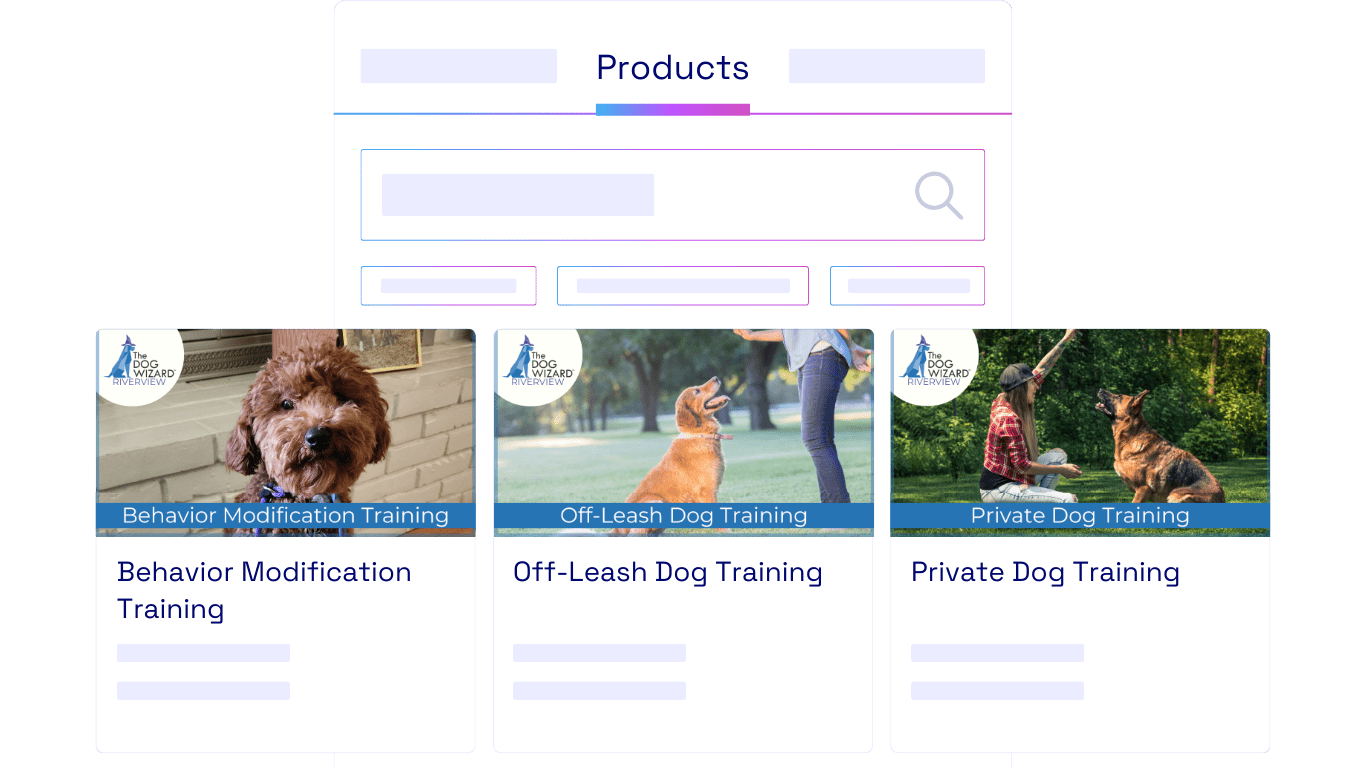 The Dog Wizard work sample