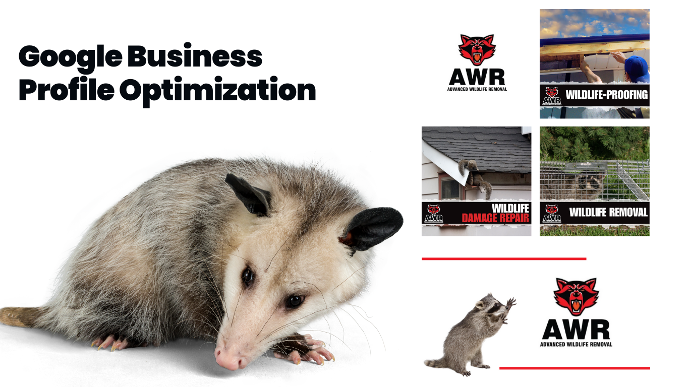 advanced wildlife removal - wildlife removal company marketing
